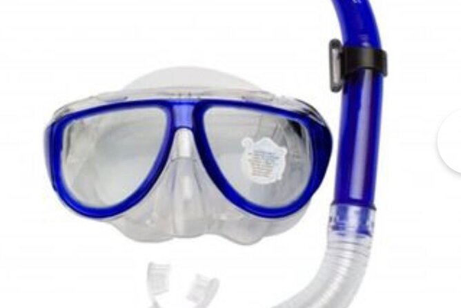 SEA SAFARI, Dolphins, Whales, snorkeling, snack and drink, 2 h speedboat - Is $54.13 Good Value?