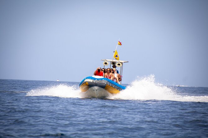SEA SAFARI Dolphins,Whales, snorkeling, snack, drink, 3h private - Key points to know before you book