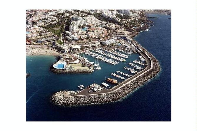 SEA SAFARI Dolphins,Whales, snorkeling, snack, drink, 3h private - A small boat makes Tenerife wildlife watching personal