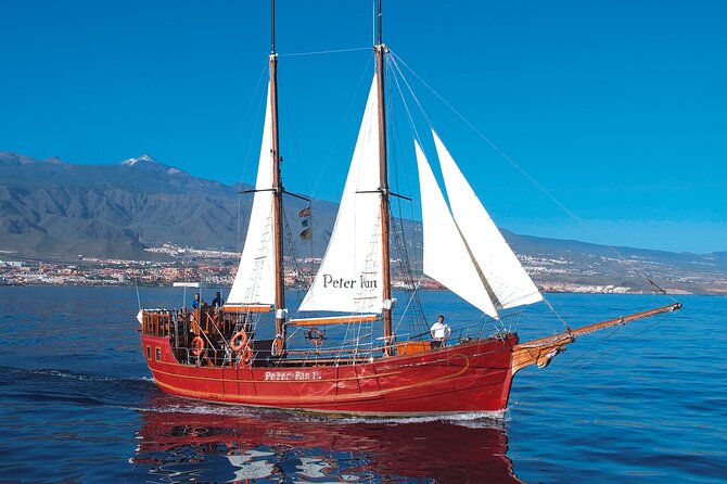 Sealife Dolphin & Whale Watching aboard Portuguese schooner - Who will enjoy this trip most