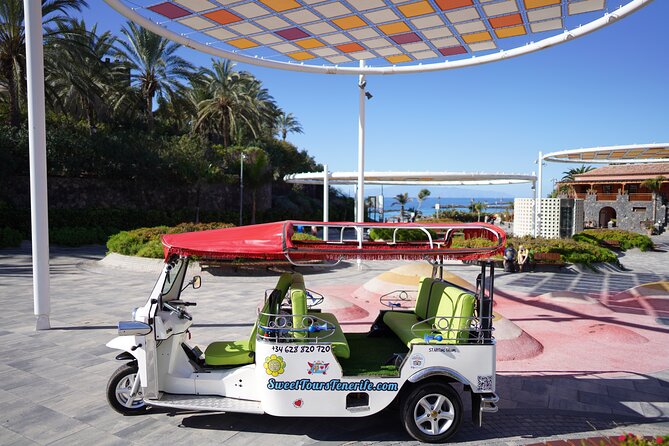 Secret Volcano Tour by Tuk Tuk in Costa Adeje - Why Caldera del Rey is the heart of the ride