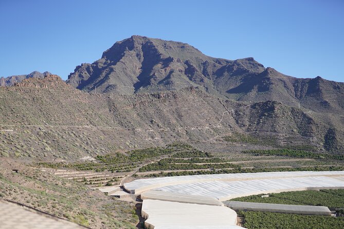 Secret Volcano Tour by Tuk Tuk in Costa Adeje - Guides make the small vehicle work