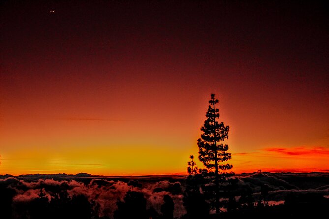 Self Drive Sunset & Stargazing in Teide National Park with Dinner - The self-drive setup and mountain-road timing