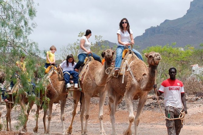 Skip the Line: Camel Park Tenerife Ticket - What the $12 price really buys you