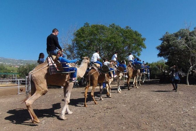 Skip the Line: Camel Park Tenerife Ticket - Cancellation and booking details