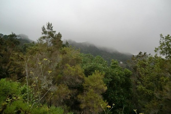 Small Group Guided Hiking in Anaga Rural Park in Tenerife - Why Anaga is a different side of Tenerife