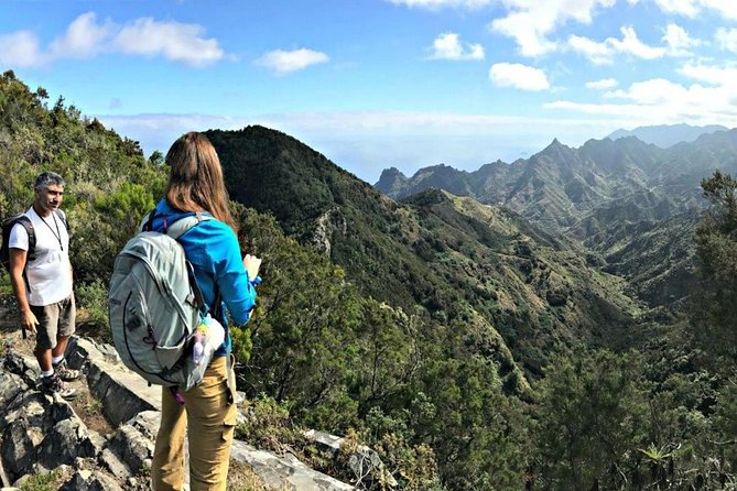 Small Group Guided Hiking in Anaga Rural Park in Tenerife - Who should book this Anaga hike?