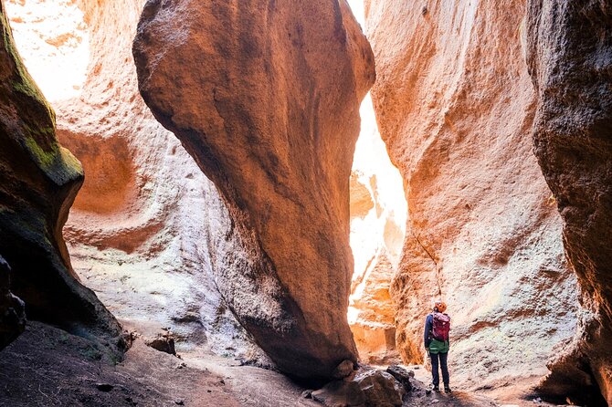 Small-Group Half-Day Canyoning in La Orotava - Key points to know before you book