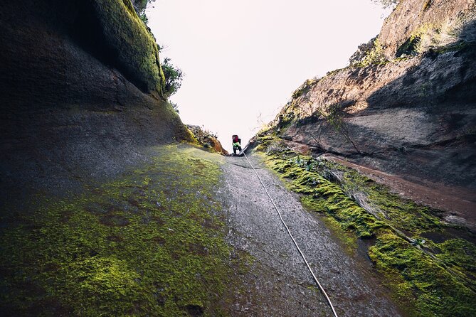 Small-Group Half-Day Canyoning in La Orotava - Why this La Orotava canyoning trip is different