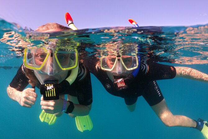Small Group Snorkeling in Abades Bay with Licensed Guide - What the first guided hour is like