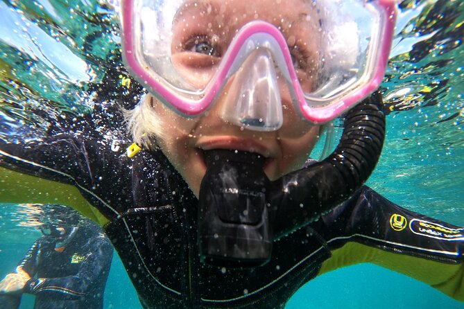 Small Group Snorkeling in Abades Bay with Licensed Guide - Who will enjoy this outing most?