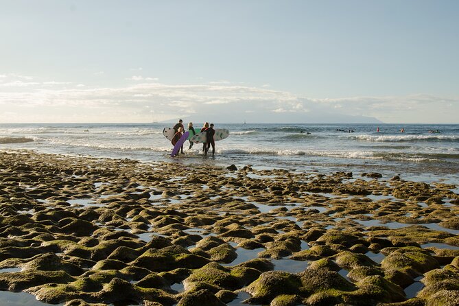 Small Group Surf Lesson in Playa de las Americas - Price and Overall Value at $46.96