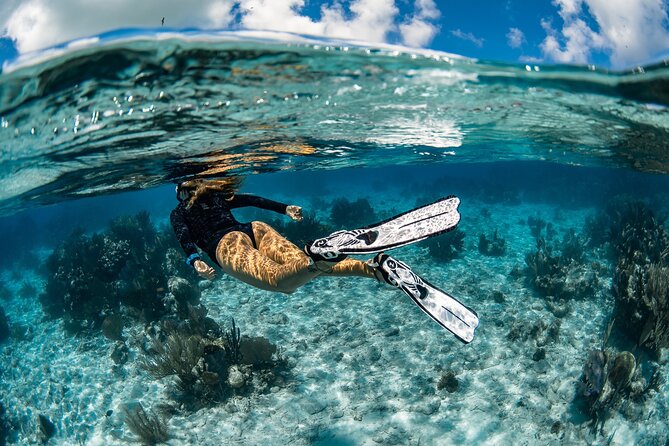 Snorkel Rental 24h, discover Tenerifes Ocean on your own! - Key points to know before booking