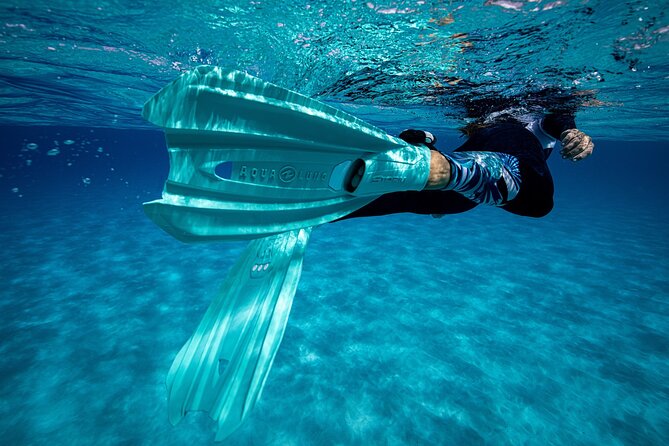 Snorkel Rental 24h, discover Tenerifes Ocean on your own! - What makes the 24-hour rental good value