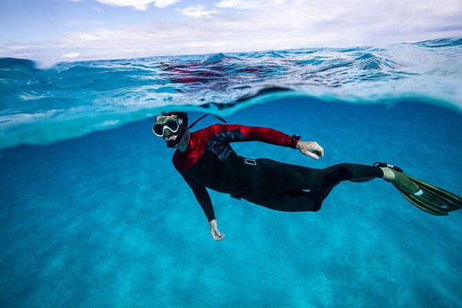 Snorkel Rental 24h, discover Tenerifes Ocean on your own! - Family use and beginner comfort
