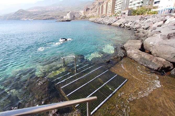 Snorkel Rental 24h, discover Tenerifes Ocean on your own! - What the staff add to a self-guided outing