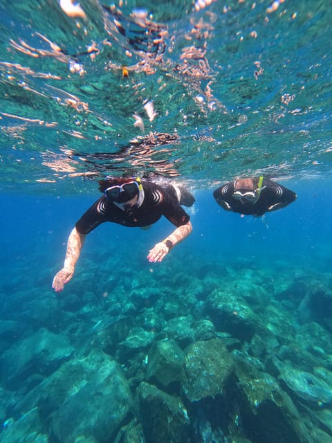 Snorkeling Boat Trip in Marine Turtles Natural Habitat - Key points at a glance