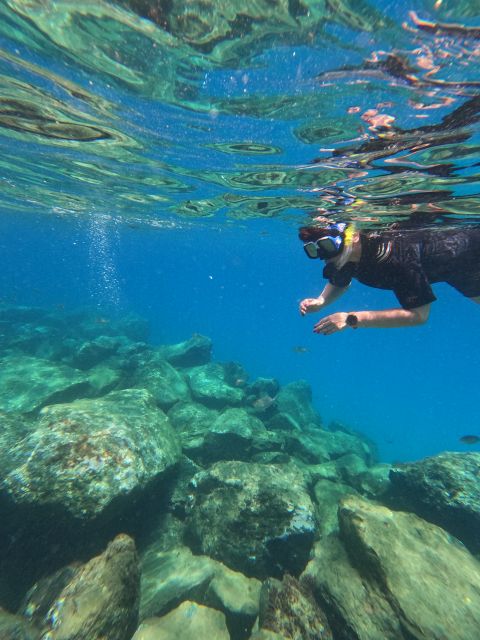 Snorkeling Boat Trip in Marine Turtles Natural Habitat - The safety briefing and equipment check