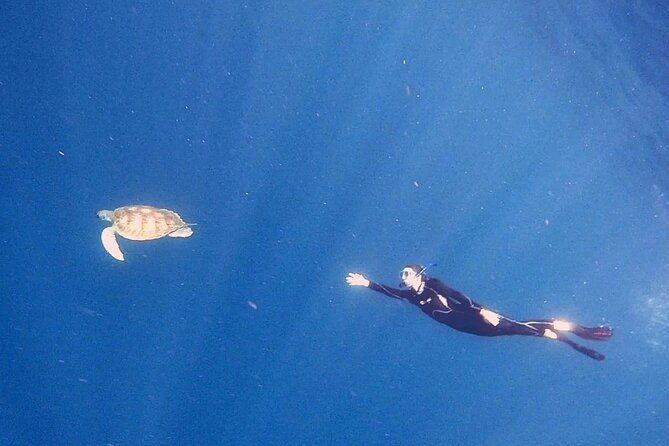 Snorkeling excursion in the Rayas and Turtles Zone - What the Rayas and Turtles Zone is really about