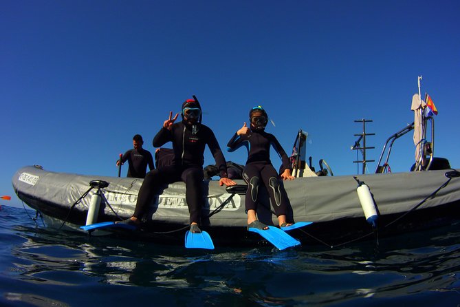 Snorkeling Tour with Sea Turtles and Stingrays - Key points to know before booking