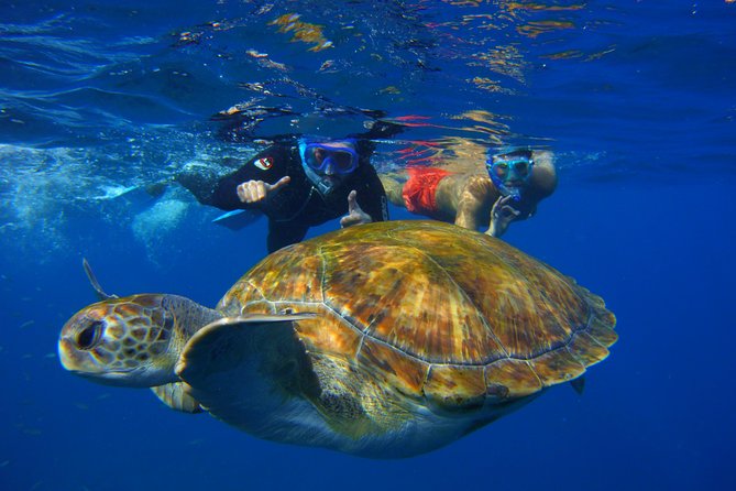 Snorkeling Tour with Sea Turtles and Stingrays - Getting ready with Elio or Angela