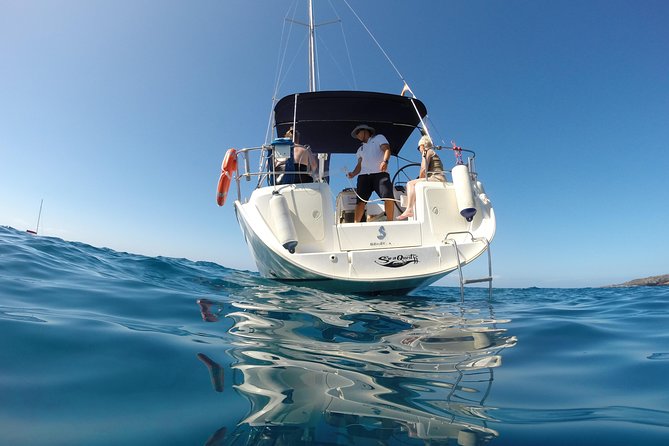 South Coast Tenerife Cruise - Watching pilot whales in open water