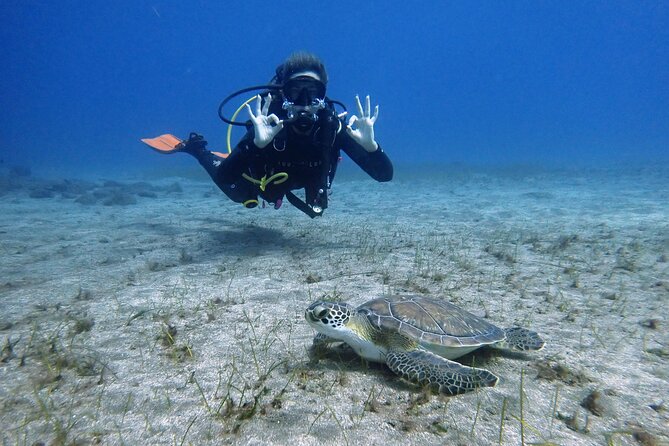 South of Tenerife : DSD Scuba Diving for beginners, Adeje - Key points to know before booking