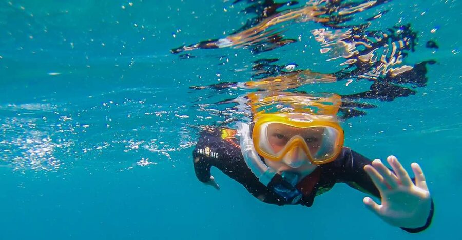 South Tenerife: Guided Snorkeling - Key points to know
