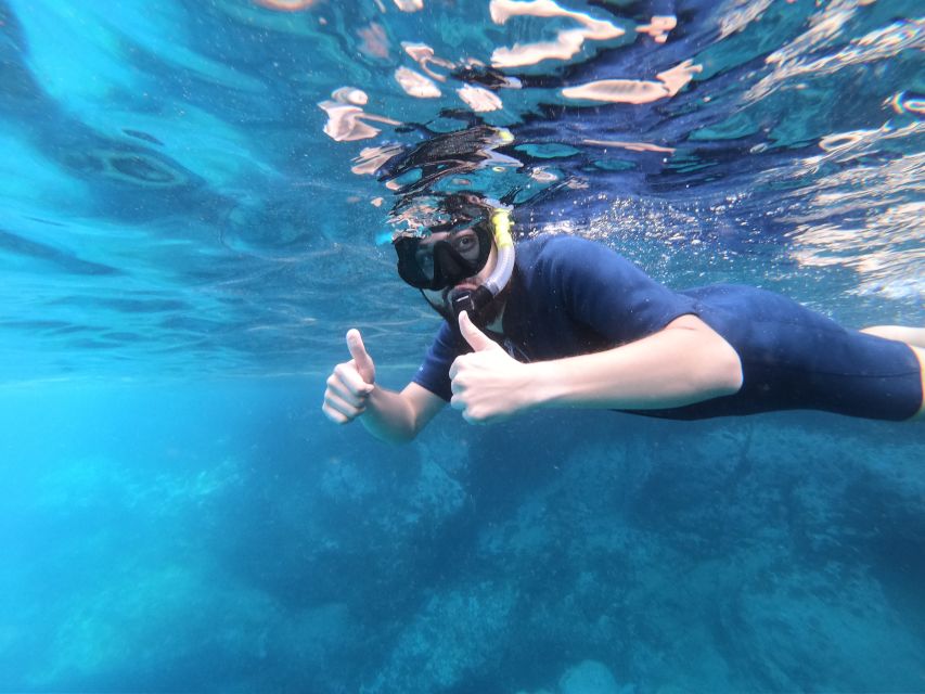 South Tenerife: Guided Snorkeling - What the price includes, and what it does not