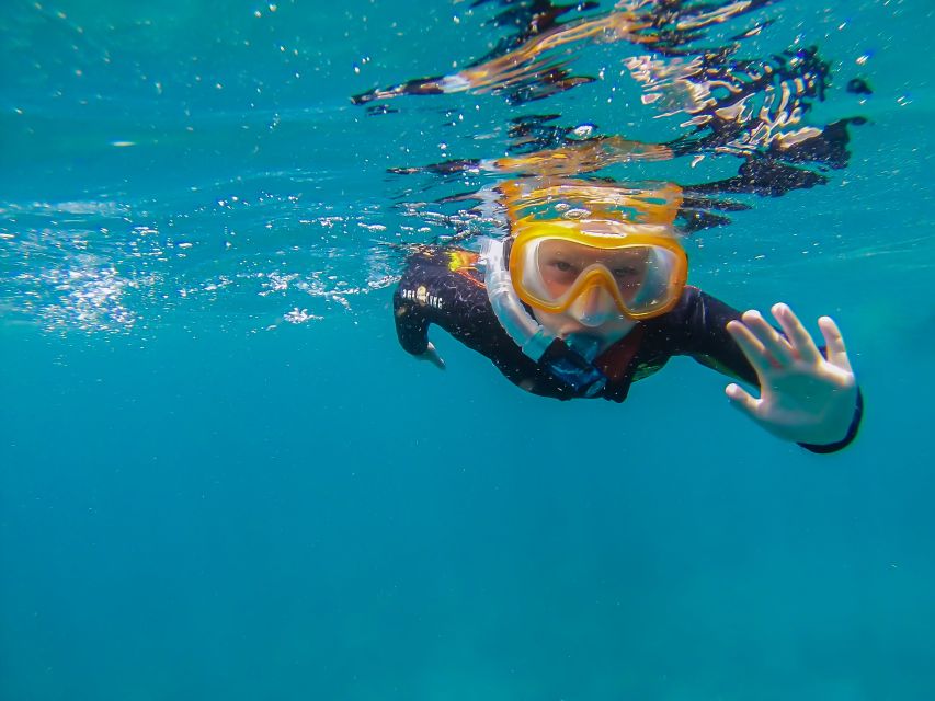 South Tenerife: Guided Snorkeling - Entering the Atlantic from the beach