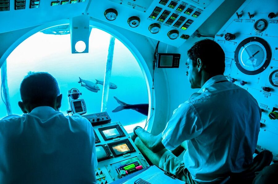Southern Tenerife: 50-Minute Submarine Dive - The best parts at a glance