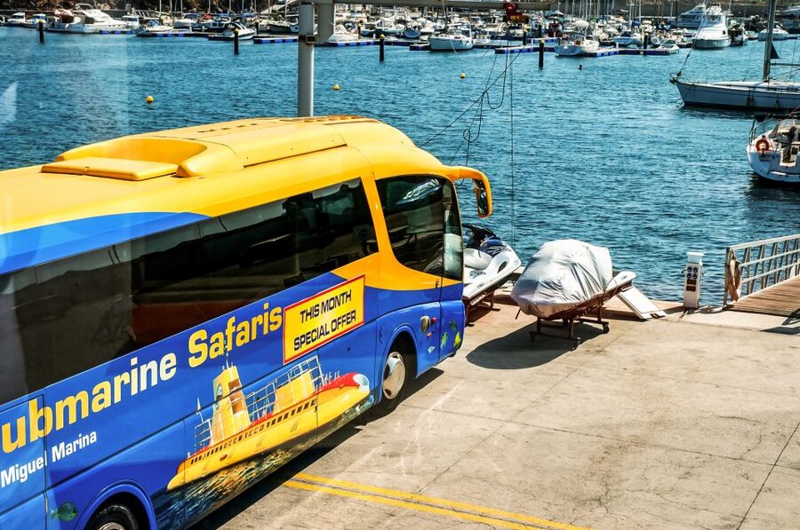 Southern Tenerife: 50-Minute Submarine Dive - Descending to about 30 meters