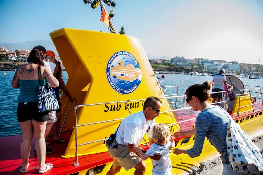 Southern Tenerife: 50-Minute Submarine Dive - Watching rays, fish, and wrecks