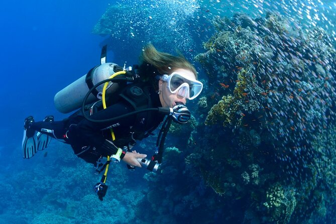 SSI Open Water Diver Course in Tenerife - Four sea sessions around Golf del Sur