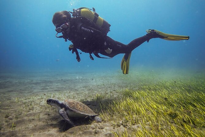 SSI Open Water, South Tenerife - What the three-day course is really about