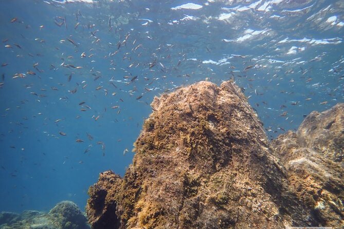SSI Open Water, South Tenerife - What the $600.85 price includes