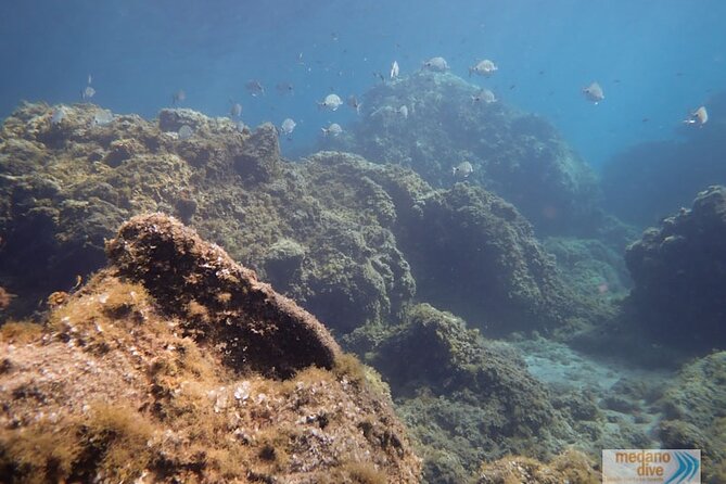 SSI Open Water, South Tenerife - Who will get the most from this course