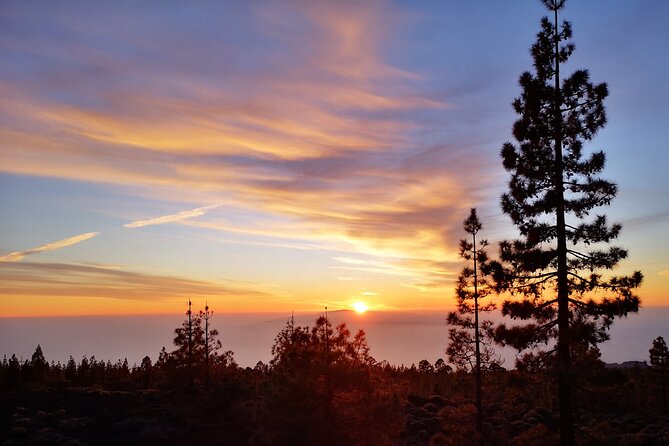 Sunset & Stargazing Experience From Teide - Is $48.37 good value?