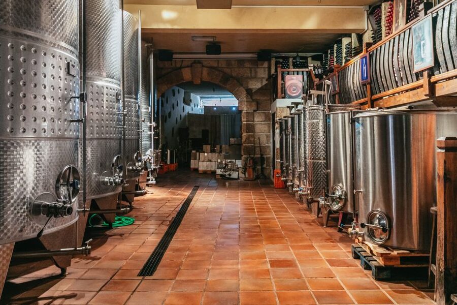 Tacoronte: Guided Winery Tour with Wine and Cheese Tastings - My verdict on Bodegas Monje