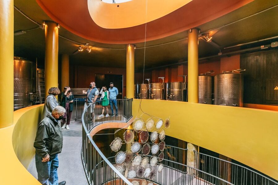 Tacoronte: Guided Winery Tour with Wine and Cheese Tastings - Why the volcanic setting matters