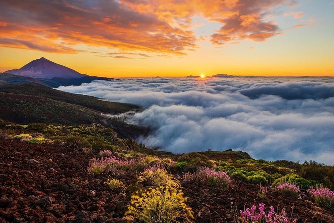 Teide 1/2 Day - The cable car is an optional decision, not part of the price
