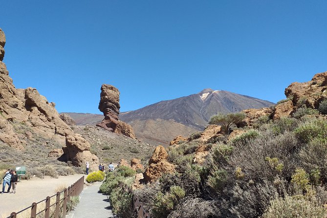 Teide essential Shore Excursion VIP TOUR - Why Teide makes this Tenerife day worthwhile