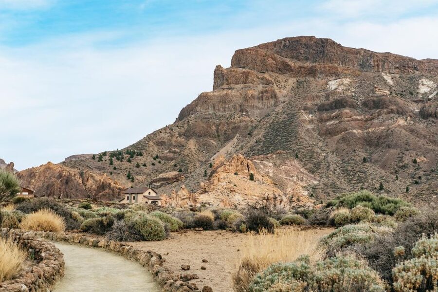 Teide: Guided Sunset & Stargazing Tour by Night with Dinner - Who should book this outing?