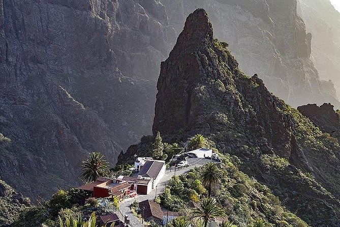 Teide-Icod-Garachico-Masca (Most popular bus tour in Tenerife) - Pickup from Puerto de la Cruz