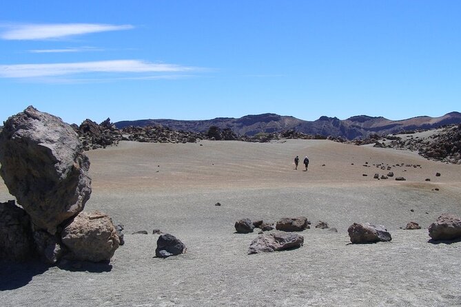 Teide National Park (5-7hours) - The guides can make or break the day