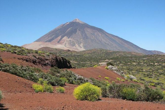 Teide National Park (5-7hours) - The climb through Tenerife’s pine forests