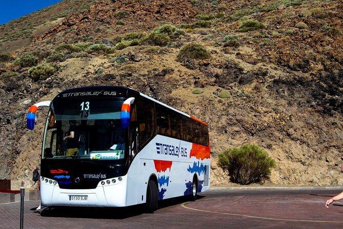 Teide National Park - Who will get the most from this Teide trip