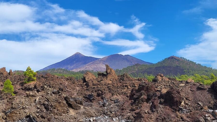 Teide National Park and Vilaflor ; local wine tasting - Viewpoints, pine forest, and the return to Vilaflor