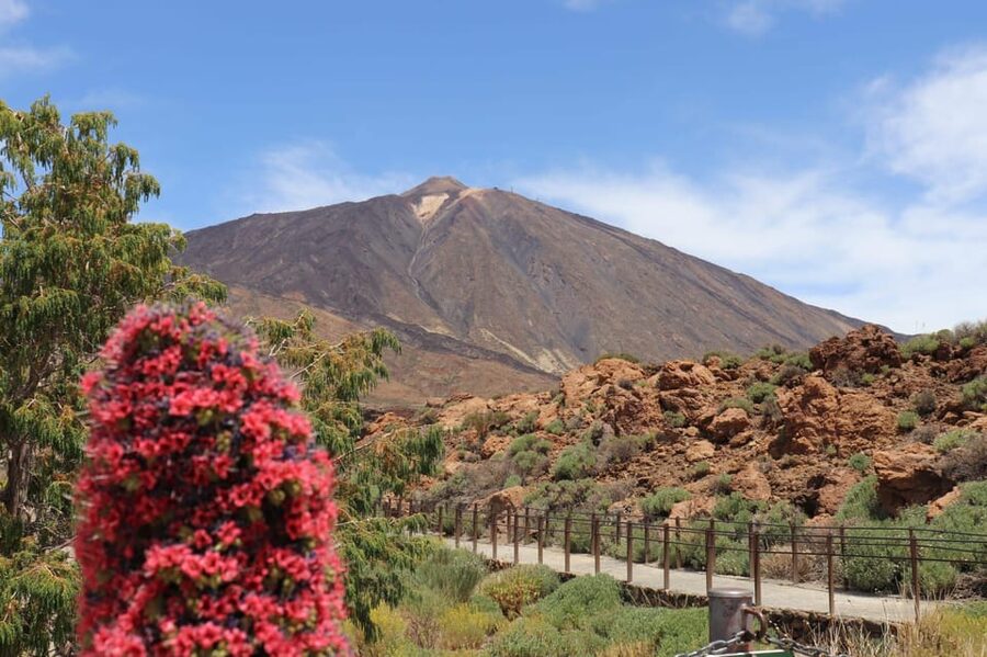Teide National Park and Vilaflor ; local wine tasting - The guide and the small-group experience