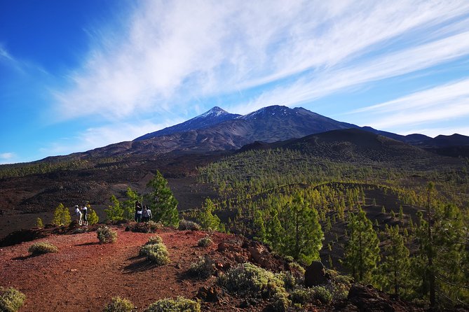 Teide National Park for smaller groups - Key things to know before booking